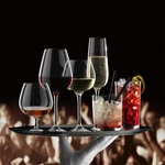 V&B Purismo Wine pohár vörösboros, összetett borokhoz