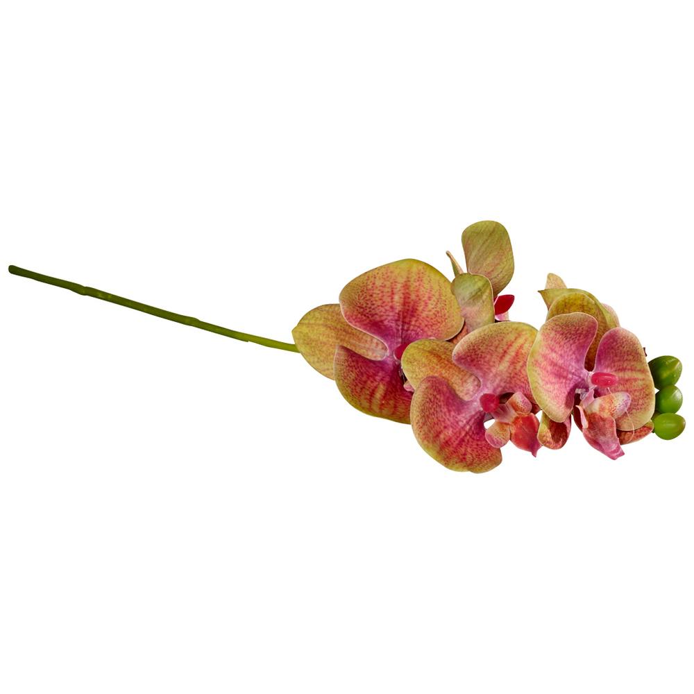 V&B Artifical Flowers orchidea 38cm, Lila-zöld