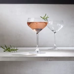 V&B Purismo Bar pohár szett 2részes pezsgős