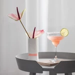 V&B Purismo Bar pohár szett 2részes margaritás
